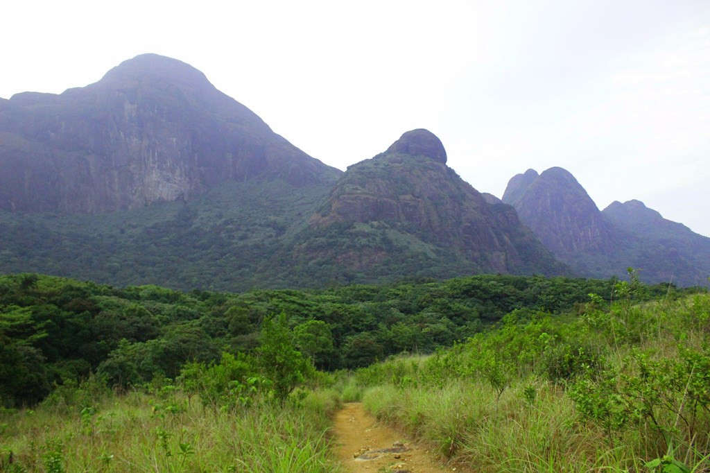 അഗസ്ത്യാര്‍കുടത്തിലേക്ക് ഒരു യാത്ര